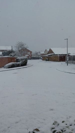 Dawley just before midday on Sunday. Photo: Steph Hood