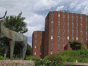 Supporting image for story: Big rises in council tax