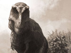 Supporting image for story: T. rex may have been much heavier and longer than previously thought – study