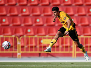 Supporting image for story: Wolves dealt major Raul Jimenez blow with star striker set to miss multiple weeks 