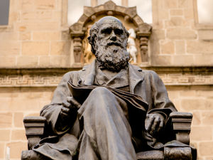 Supporting image for story: Raise a glass today for Darwin's birthday