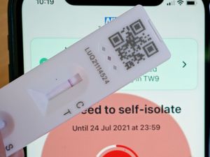 Supporting image for story: Save lateral flow tests until just before meeting others, scientist says