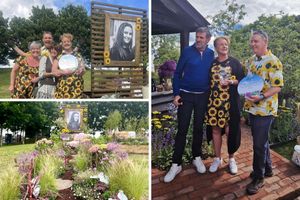 Beth's Sunflowers honour the memory of Beth and help others