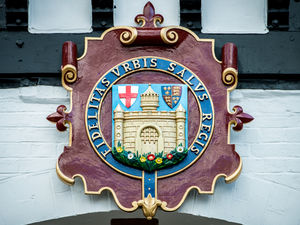 Supporting image for story: Tree Charter latest eco move for Bridgnorth council