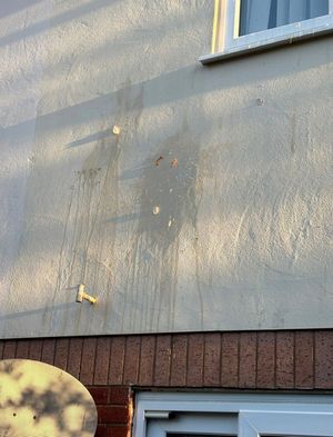 Egg on the wall of Celine Lockyer's Worcester home.