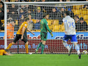 Supporting image for story: Pictures and analysis of Wolves 0 Millwall 1