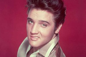 Supporting image for story: Elvis live in concert at Birmingham screening