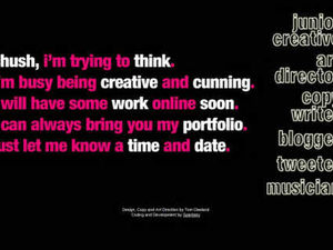 Supporting image for story: Shropshire blogger is top Cool Hunter