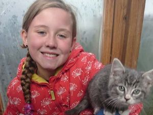 Supporting image for story: Cash from 10 year-old's card business helps cats and kittens