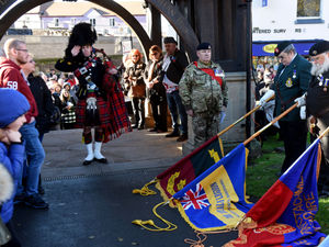 Supporting image for story: Shropshire remembers: More pictures and video as county honours war dead