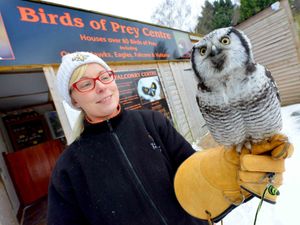 Supporting image for story: A day out at The Falconry Centre at Webbs of Hagley