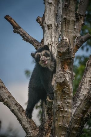 Supporting image for story