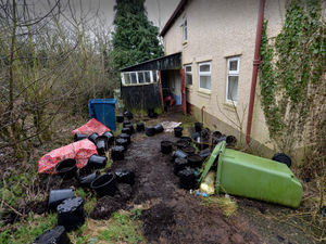 Supporting image for story: Sheep dog sniffs out cannabis factory at rural Staffordshire farm