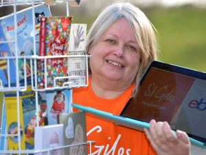 Supporting image for story: Help hospice bring in vital funds by logging on