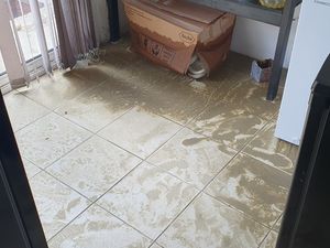 Supporting image for story: Damaged houses and missing kittens at flooded Walsall homes amid anger at water firm's response