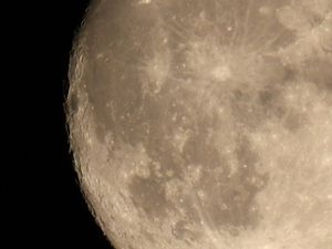 Chris Jones snapped this close up on Tuesday