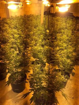 The interior of the drugs factory, picture @GtWyrleyPolice