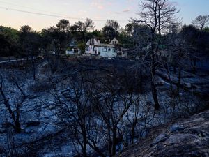 Supporting image for story: Greece wildfire burned through 40 square miles of land