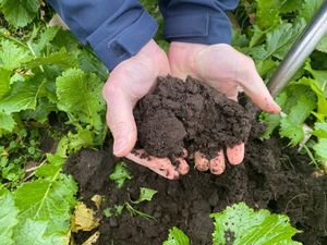Supporting image for story: Bradford Estates actions plan to improve soil quality  