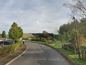 Supporting image for story: Car valeting business seeks relocation at Newport garden centre