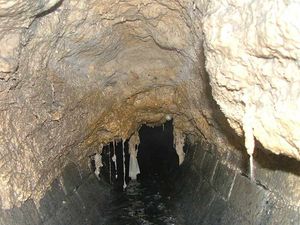 Supporting image for story: Shropshire homeowners urged to help prevent sewer blockages