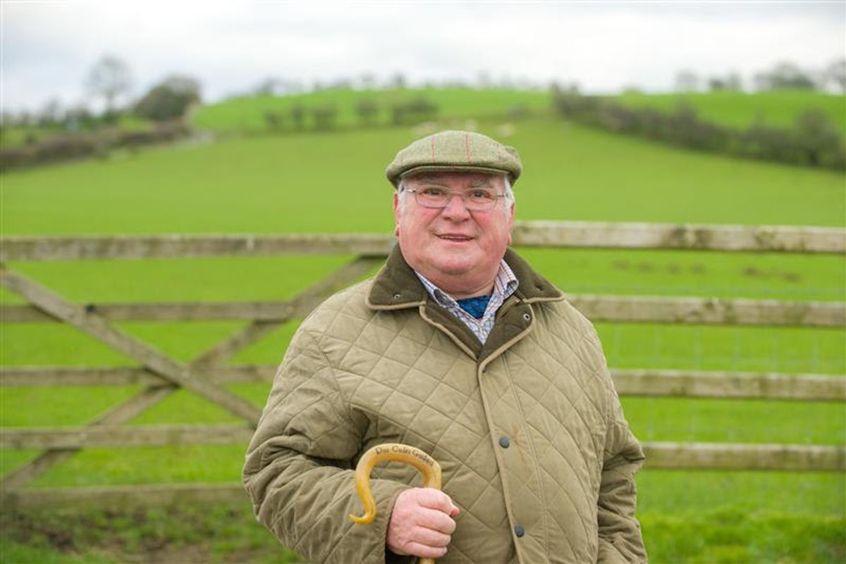 Dai Jones Llanilar Memorial Prize Launched at Royal Welsh Show