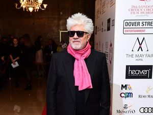 Supporting image for story