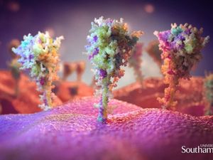 Supporting image for story: Images show how AstraZeneca vaccine turns cells into ‘little factories’