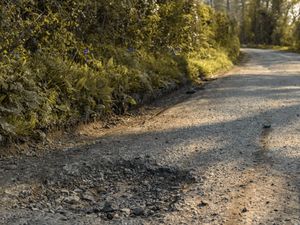 Supporting image for story: Potholes have damaged cars for one-third of UK drivers