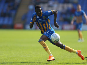 Supporting image for story: John Askey excited to develop Shrewsbury's attacking prospects