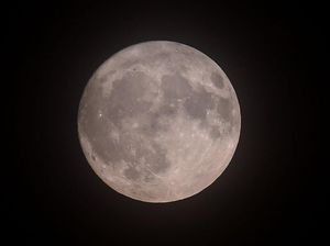 Supporting image for story