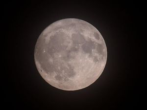 Supporting image for story: Pink Moon set to grace the skies