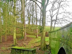 Supporting image for story: Inspector rules Ellesmere footpath to reopen