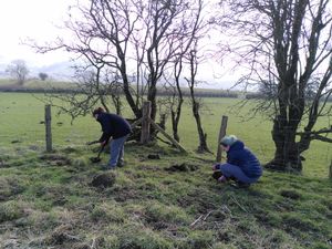 Supporting image for story: Radnorshire Wildlife Trust project begins nature recovery at Pentwyn Farm