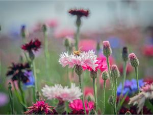 Supporting image for story: In pictures: Newport photographers show off their skills