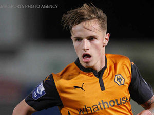 Supporting image for story: Kidderminster Harriers sign Ashley Carter