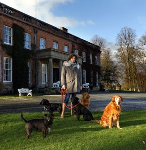 Supporting image for story