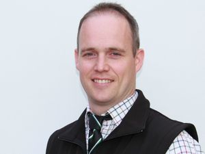 Supporting image for story: Maximise the use of dry silages this winter