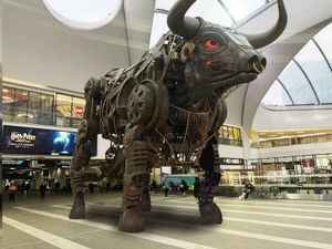 Supporting image for story: New home for Ozzy the Commonwealth Games mechanical bull met with criticism 