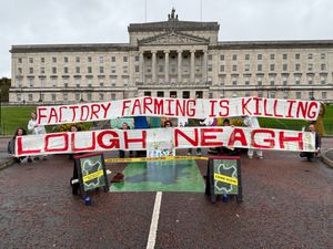 Supporting image for story: Stormont declared ‘crime scene’ over environmental crisis at Lough Neagh