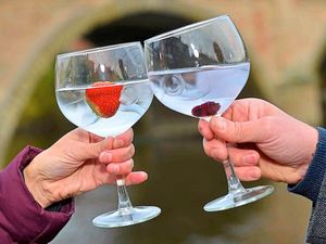 Supporting image for story: Food and gin festival on way to Oswestry