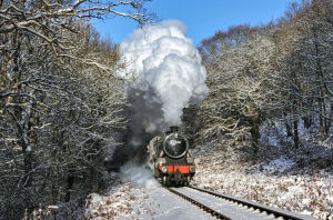 Supporting image for story: Severn Valley Railway 'crafting something truly magical' for two new Christmas events