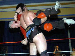 Supporting image for story: Lembit Opik hospitalised in wrestling debut