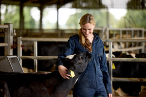 Open Farm Sunday visitors will have the chance to explore the Harper Adams Future Farm and speak to staff about farming operations (Image shows a student at the award winning Dairy Unit on the Future Farm)