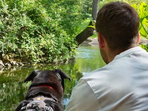 Supporting image for story: Appeal for public to open their hearts to pets owned by domestic abuse victims after rise in demand