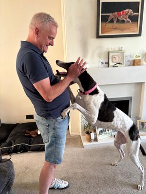 Druids Say Go, the 2024 Premier Greyhound Racing Oaks champion, pictured at her new home with the Gould family. 
