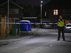 Supporting image for story: Teen stabbed to death in case of mistaken identity was bright and popular, murder trial told