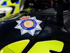 Supporting image for story: Girl, 12, suffers life-changing injuries in dog attack in Wales