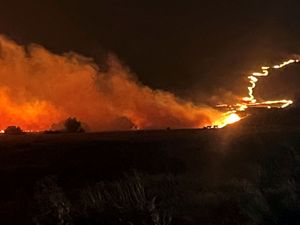 Supporting image for story: Record-breaking wildfires scorch more than 1.4 million acres in Oregon