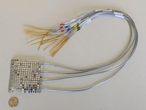 Supporting image for story: Brain interface may restore power of speech to paralysed patients